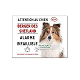 Pour une installation extérieure au soleil il vous faudra appliquer un anti UV type vernis (non fourni).
