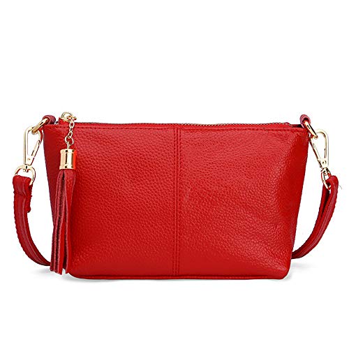 NIGEDU Women Messenger Bags Small Leather Crossbody Bags Tassel Shoulder Bag Purse Wallet Mobile Phone Bag (Red)