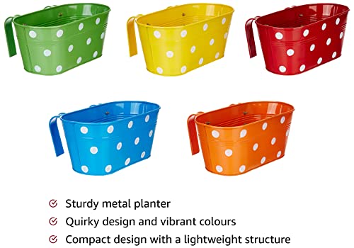 Amazon Brand - Solimo Metal Oval Shaped Planters with Hook (Set of 5)