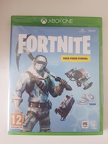 Fortnite : Pack froid éternel [Edizione: Francia]