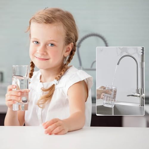 KEOKBON 3 Wege Wasserhahn Küche, 3 in 1 Spiralfeder Küchenarmatur mit Brause ausziehbar, 2 Hebel Spültischarmatur Mischbatterie mit kalt, heiß wasser und trinkwasser(Gebürstetes Nickel)