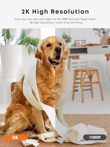 Dog Camera with Treat Dispenser — side view showing full product dimensions