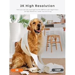 Dog Camera Treat Dispenser, 330° View Dog Cam Pet Security Camera, 2K/4MP HD with Night Vision, Support 2.4 &5 GHz Wi-Fi, 2-Way Audio, Indicator Light, Free Cloud Storage, No Monthly Fee Dog Camera Treat Dispenser, 330° View Dog Cam Pet Security Camera, 2K/4MP HD with Night Vision, Support 2.4 &5 GHz Wi-Fi, 2-Way Audio, Indicator Light, Free Cloud Storage, No Monthly Fee