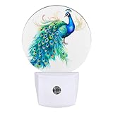 GANTINIR Watercolor Peacock Night Light Feather Night Lights LED Lamp Round Plug into Wall Nightlight with Dusk to Dawn Sensor Home Hallway Stairway Kitchen Decor