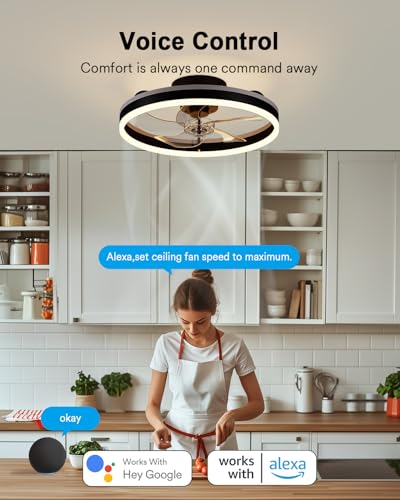 Image of Lumary Smart WiFi Ceiling Fans with Lights, Low Profile Flush Mount Black