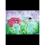 舞台『言の葉の庭～The Garden of Words～』