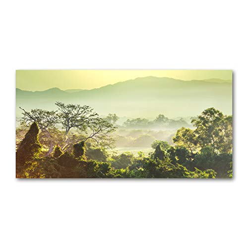 Crédence cuisine verre trempé 120x60 protège mur éclaboussures