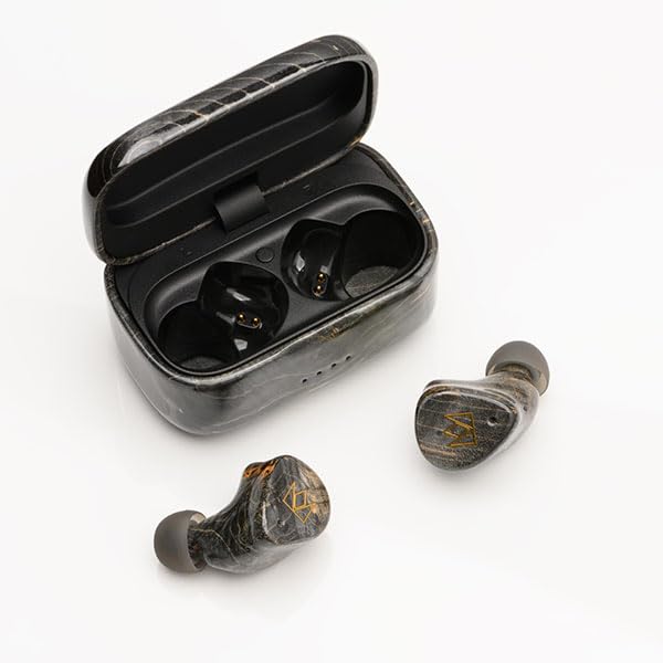 Noble Audio FoKus Prestige Black : Amazon.ae: Electronics