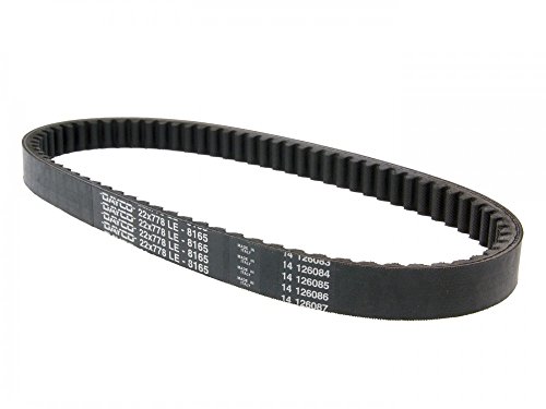 Dayco 8165 Cintura