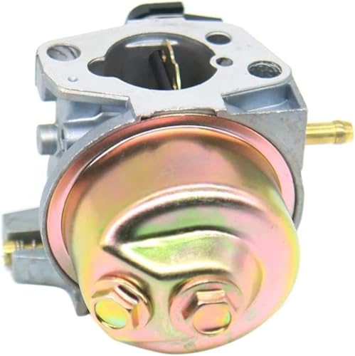 Carburateur de tondeuse à gazon 1P65F pour un jardin impeccable