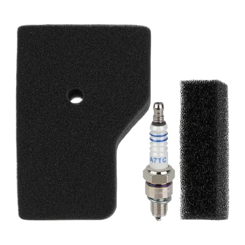 Hitburu Kit d'Entretien pour Générateur - Jeu d'Outils de Calage de Bougie,Jeu de Pièces de Rechange Compact pour Voiture Bateau Quad Véhicules Extérieurs