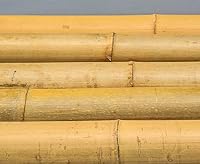 10er Set Moso Bambusrohre 300cm, 6-7 cm Durchmesser, gelblich gebleicht – Ansicht 4