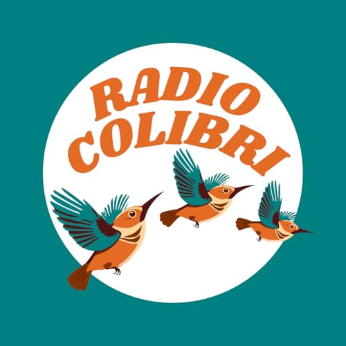 Radio Colibri - D&eacute;couvrez un robot extraordinaire !