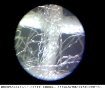 Amazon.co.jp: Kenko 理化学系知育玩具 Do・Nature デジタル