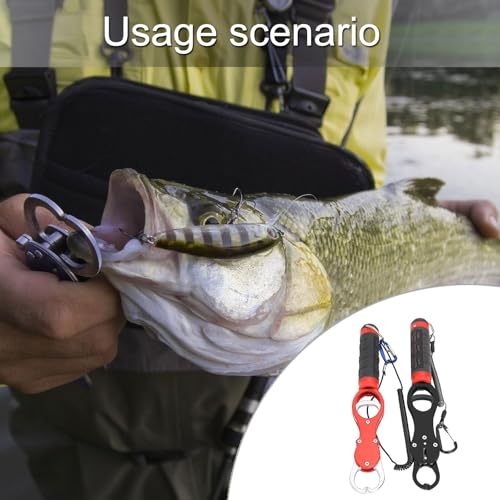 Pince à lèvres de poisson pour pêche à la main sans blessure