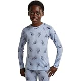 ICEBREAKER 200 Oasis Bear Tour AOP Langarm-Baselayer 12 Years