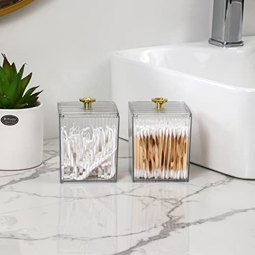 Rejomiik Plastic Qtip Holder Bathroom Jar With Lid Dispenser Vanity Organizers And Makeup Storage Canister Box For Cotton Ball, Swabs, Floss, Makeup Sponges, Jewelry, Rectangle Clear 2 Pack #TOP1