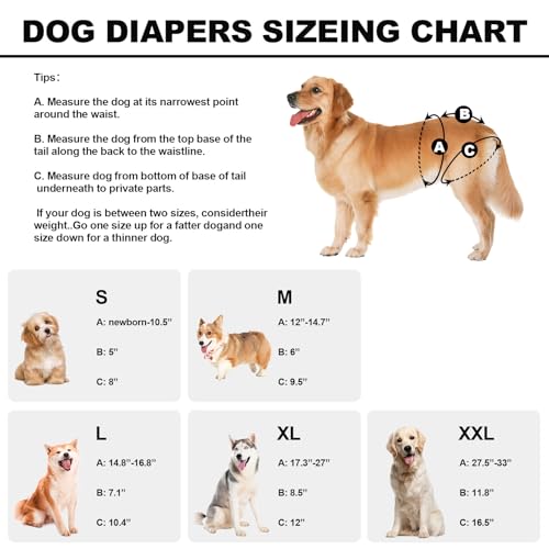 Reusable Dog Diapers Female Medium Washable, Premium Doggie Diaper for Dogs, Pack of 3, Highly Absorbent Female Dog Diaper for Heat, Incontinence and Puppy Training(M) - Thumbnail 3