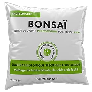 Terreau pour Bonsaï 2L &#8211...