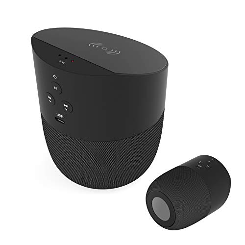 Altavoz Cargador Bluetooth Porttil con Carga Inalambrica 2 en 1 Qi Carga Rpida inalmbrica - Altavoz Porttil entrada AUX para Smartphone, Tablet y dispositivos MP3