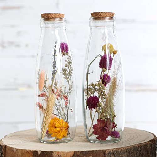 Blumen im Glas Pflanzen – Die 15 besten Produkte im Vergleich - WinTotal