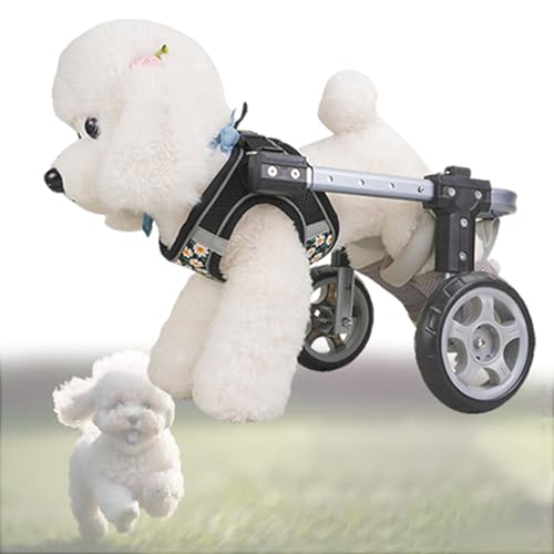 Fauteuil roulant pour chiens pour voir votre animal courir à nouveau