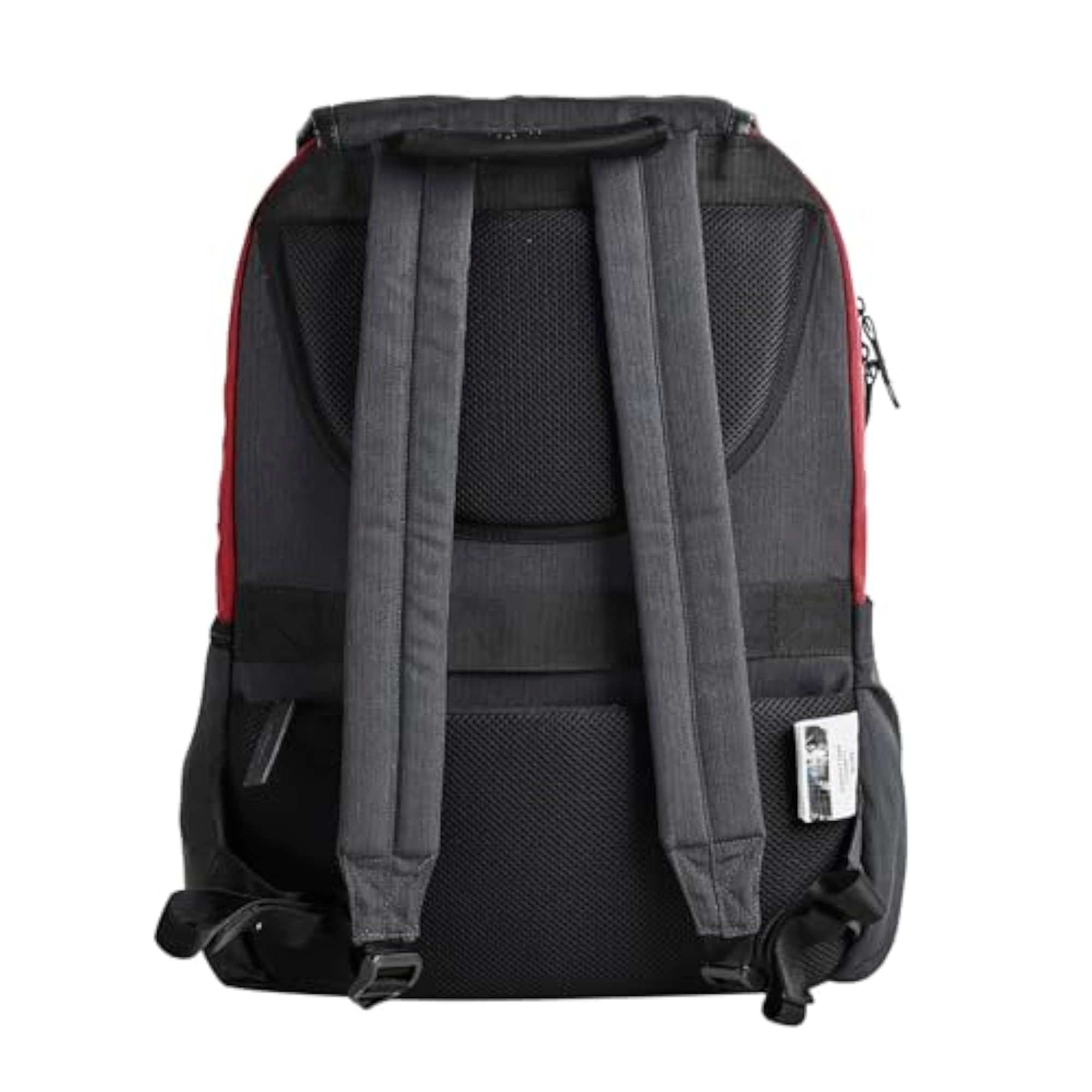 Posh Laptop Backpack 21L with USB Charging Port