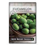 Sow Right Seeds - Cucamelon Seeds for Planting - Non-GMO Heirloom Packet with Instructions to Plant an Outdoor Home Vegetable Garden - Mini Bitter Mouse Melon, Mexican Sour Gherkin - Rare Variety (1)