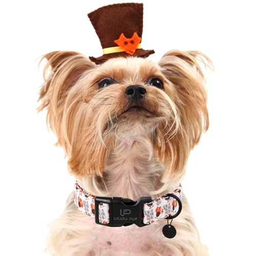 Image of Thanksgiving Dog Collar, Turkey Cotton Collar for Dog or Cat, Autumn Puppy Collar with Lightweight Plastic Buckle,Great Thanksgiving Gift for Girl Boy Dogs,XL