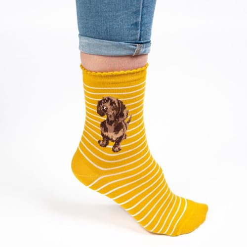 Wrendale Designs - Socken, Dackel, Einheitsgröße
