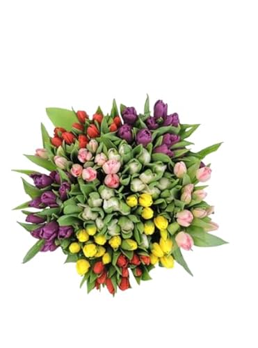 Ramo de TULIPANES Naturales con 50 Flores en Tonos Vibrantes Tulipanes Frescos para Ocasiones Especiales