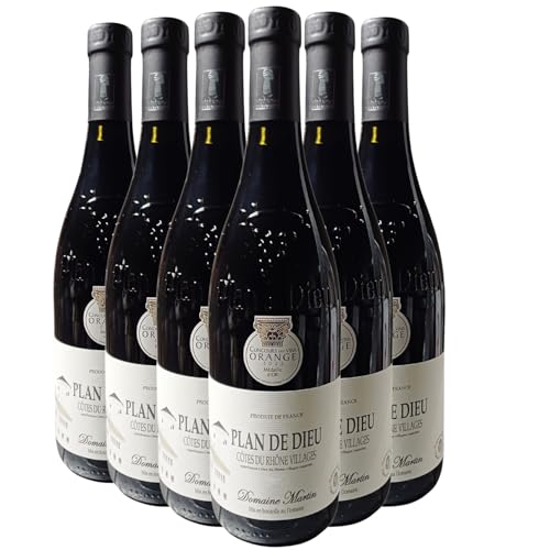 Côtes du Rhône Villages Plan de Dieu - Rouge 2022 - Domaine Martin - Vin Rouge de la Vallée du Rhône (6x75cl)