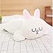 lili-nice Personaje De Anime Oso Pardo Cony Conejo Peluche Juguete Pareja Linda Almohada Muñeca De Peluche Suave para Regalos De Novia 50Cm