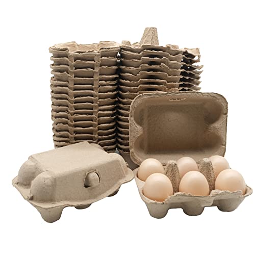 Farmway Natural Pulp Egg Cartons 40 Pack, Holds Up to 6 Eggs, 6 Count