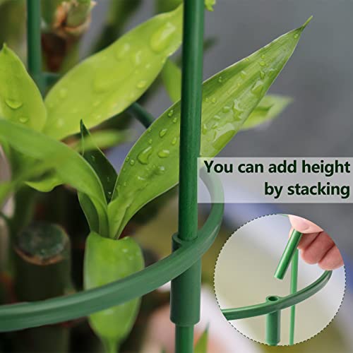 36 Packs Plant Support Stake, Half Round Stackable 3 Tier Garden Flower Support, Plant Stakes for Indoor Outdoor Plants Tomato,Monstera, Peony, Hydrangea, Climbing Plants by kulusion - Used condition - Image 3