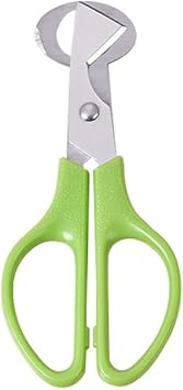 1Pc Green Stainless Steel Quail Egg Scissors,Egg Slicer Pigeon Clipper Shell Separator Quail Egg Peeler Egg Cracker Pigeon Bird Quail Egg Cutter Tool, Egg Separators, Specialty Tools
