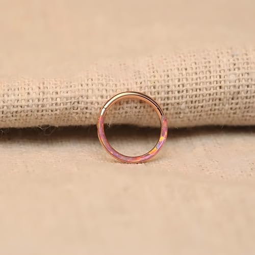 Image of PEAKLINK 16G 18G 316L Stainless Steel CZ /OPAL Septum Piercing Septum Clicker Ring Hinged Nose Ring Daith Earrings Conch Piercing Jewelry Helix Cartilage Tragus Lobe Belly Hoop Earring