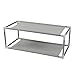 Ruilogod Metal Shell AGD 2 warstwy Zdejmowane Buty Rack Storage Organizer Półka