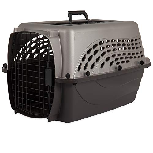 Buy Amazonbasics inch two door top load pet kennel In Pakistan