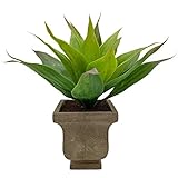 Las plantas de aloe suculentas artificiales de estilo rústico son perfectas para la decoración interior y exterior.