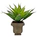 Aisamco Aramco Artificiale succulenta Aloe Finta per Bagno Home Office Decor Pianta succulenta Finta con fioriera Grigia Pianta in Vaso Artificiale Alta 29 cm per la Decorazione della casa