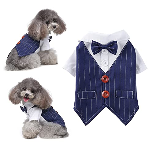 ���� �^�L�V�[�h �y�b�g�p �V���c �L�� �t�H ���l�N�^�C�t�� ���� �y�b�g �R�X�`���[�� ���p �V���c ������ ���j�� �p�[�e�B�[�p �����^���̂��߂̌��̃^�L�V�[�h������I���̃X�[�c