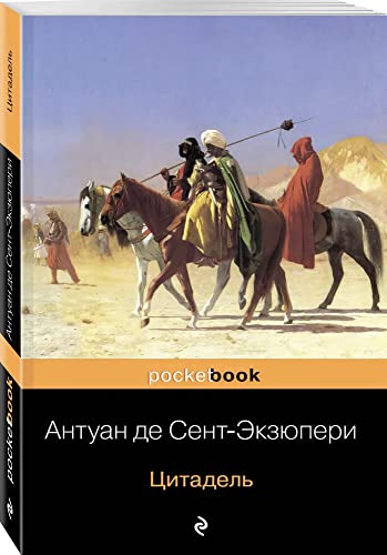 Tsitadel (Russian Edition) [Russian] 5699418113 Book Cover