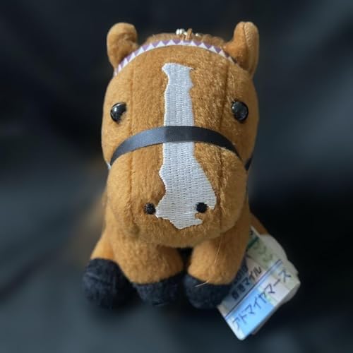 nAh}C}[Y(`}C)ʂ/AChz[XSTCY/JRA O