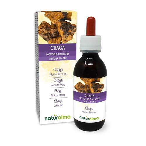 Chaga ou Polypore oblique (Inonotus obliquus) champignon Teinture Mère sans alcool Naturalma - Extrait liquide gouttes 120 ml - Complément alimentaire - Végétalien ou végan