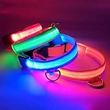 Taille L = 45-52 cm Collier lumineux à LED pour chien et chat - Fonctionne sur piles (bleu, XL)
