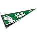 University of North Texas Pennant Full Size Felt