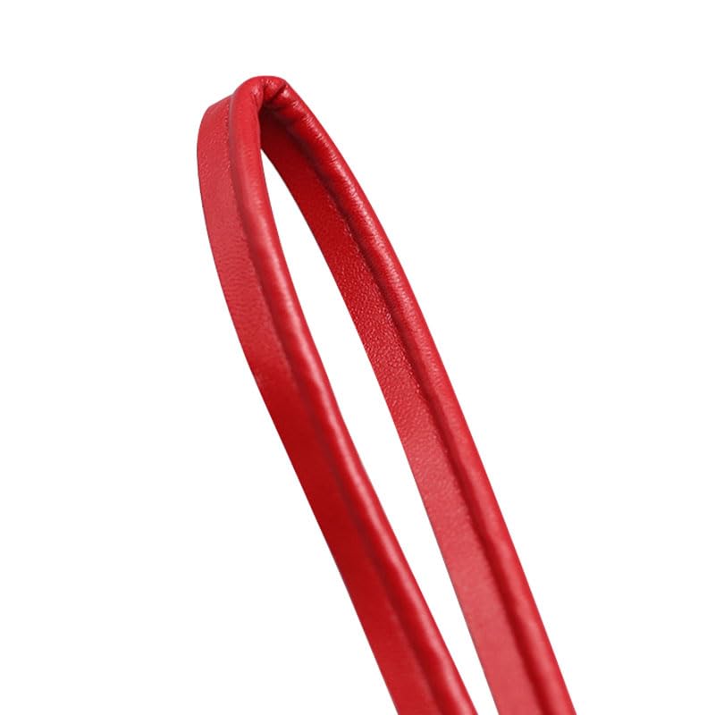 Bandes de Garniture en Cuir, 5m x 1cm Cordon de Passepoil en Cuir Imitation, Bande Plate en Cuir Grainé Lychee pour Ourlets sur Vêtements, Sacs, Ceintures et...