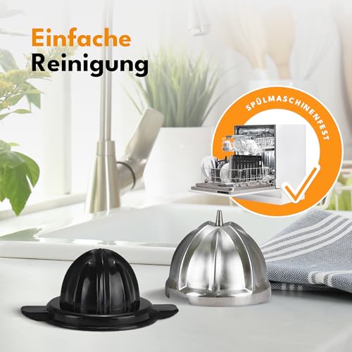 LEBENLANG 2x Ersatzkegel - BPA-Frei & Stabil - Passend für LBC388 Zitruspresse