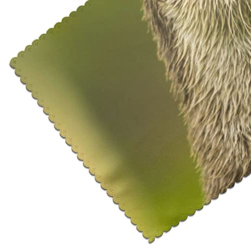 Clawed Otter Placemats, Placemats Set Of 6, Heat Resistant Place Mats, Washable Table Mats, Non-Slip Table Placemats Easy To Clean #TOP3